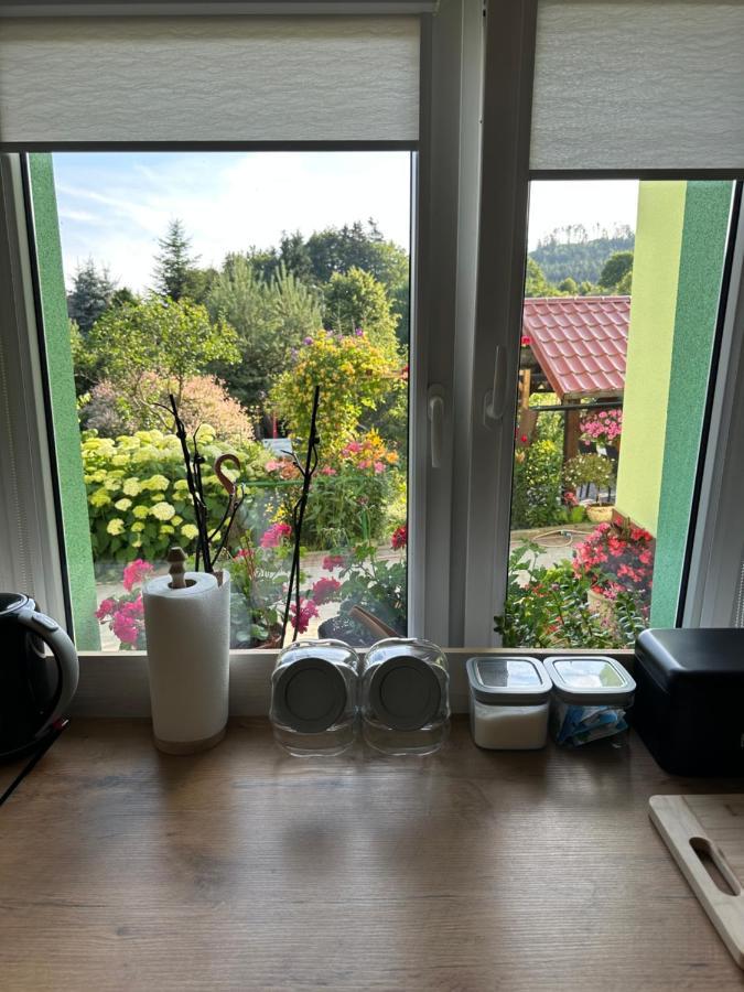 Ferienwohnung Mr. Sowa Sokolec Ludwikowice Kłodzkie Exterior foto