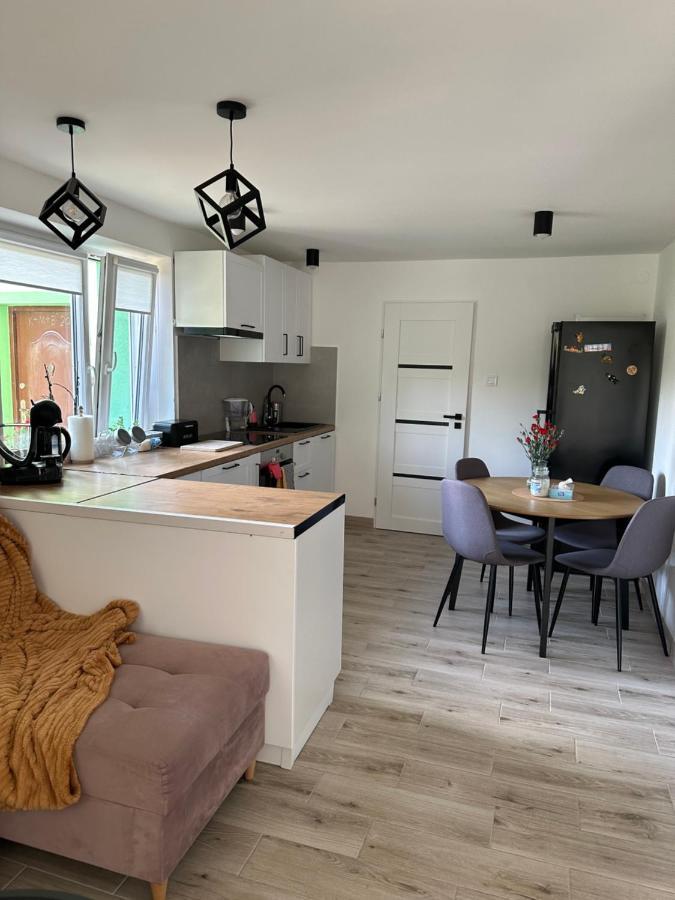 Ferienwohnung Mr. Sowa Sokolec Ludwikowice Kłodzkie Exterior foto