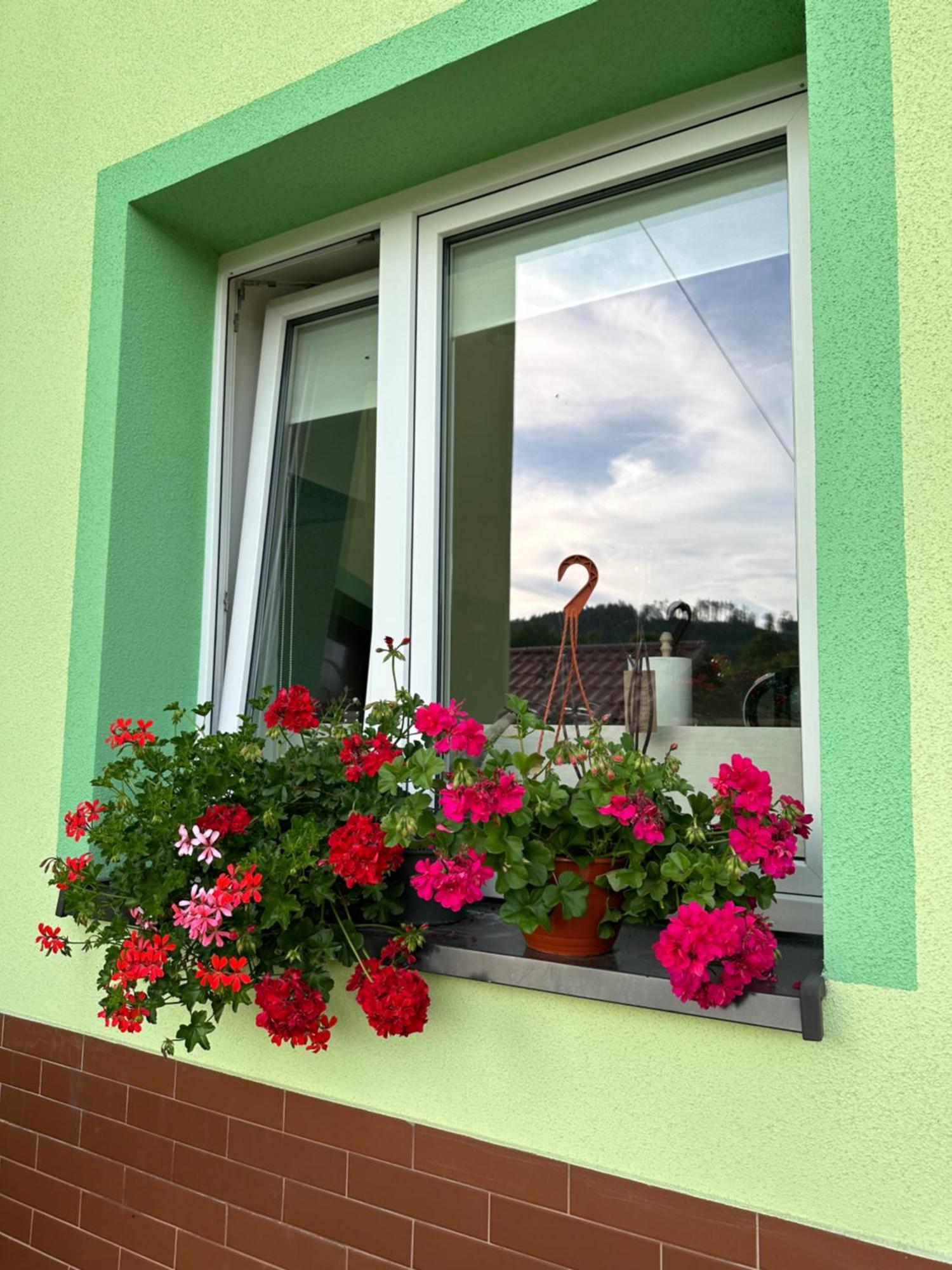 Ferienwohnung Mr. Sowa Sokolec Ludwikowice Kłodzkie Exterior foto
