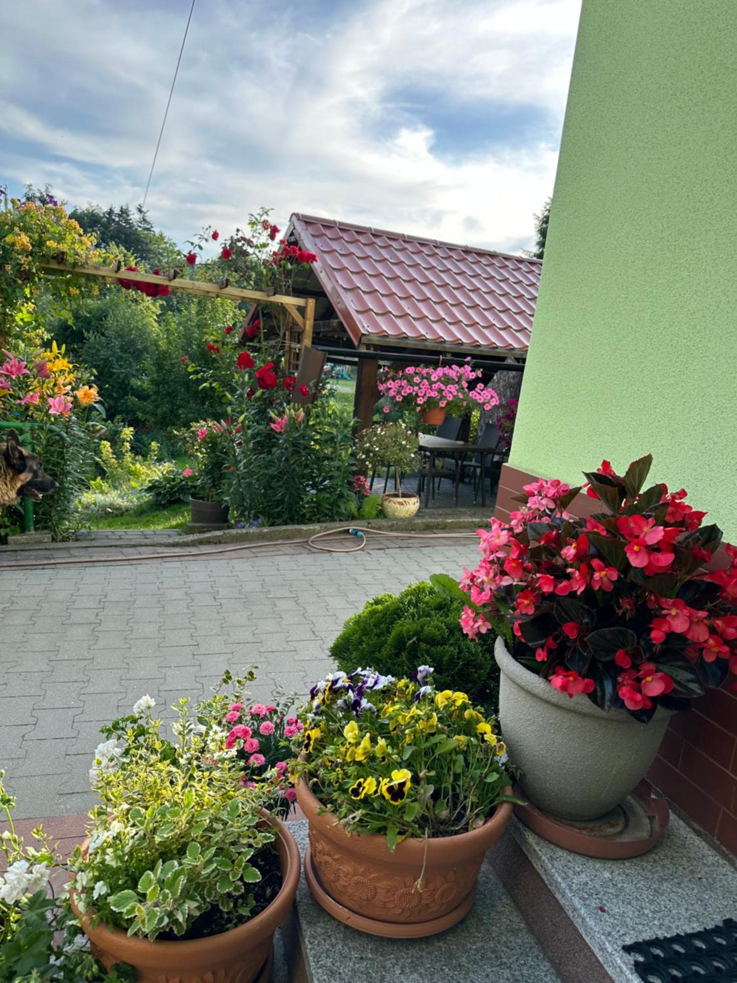 Ferienwohnung Mr. Sowa Sokolec Ludwikowice Kłodzkie Exterior foto