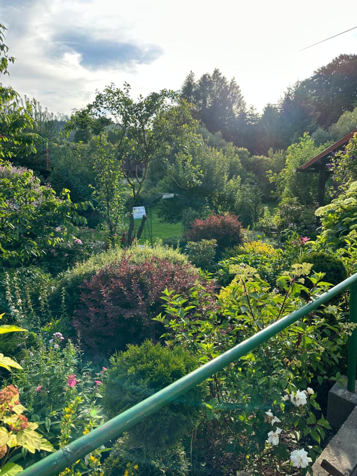 Ferienwohnung Mr. Sowa Sokolec Ludwikowice Kłodzkie Exterior foto